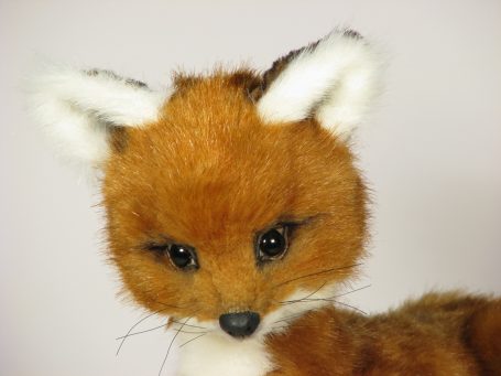 Fox 